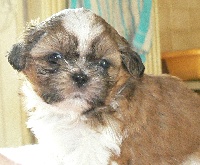 MALE 1